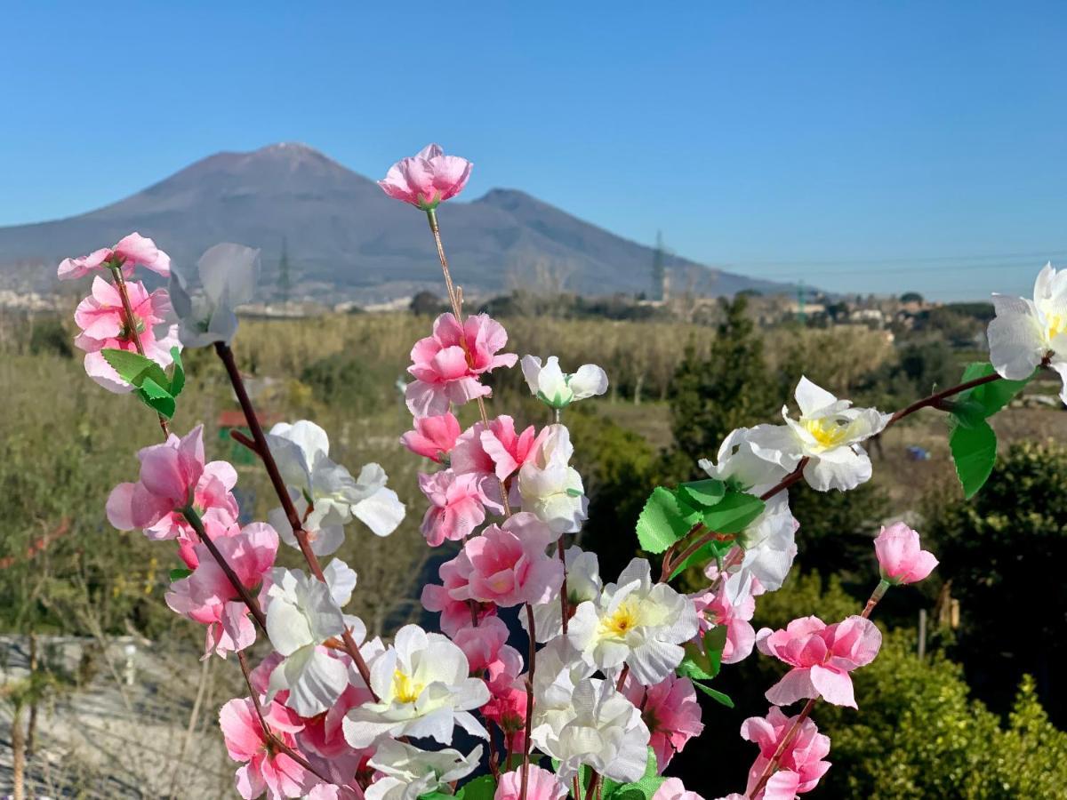 Villa Valentino Pompeji エクステリア 写真