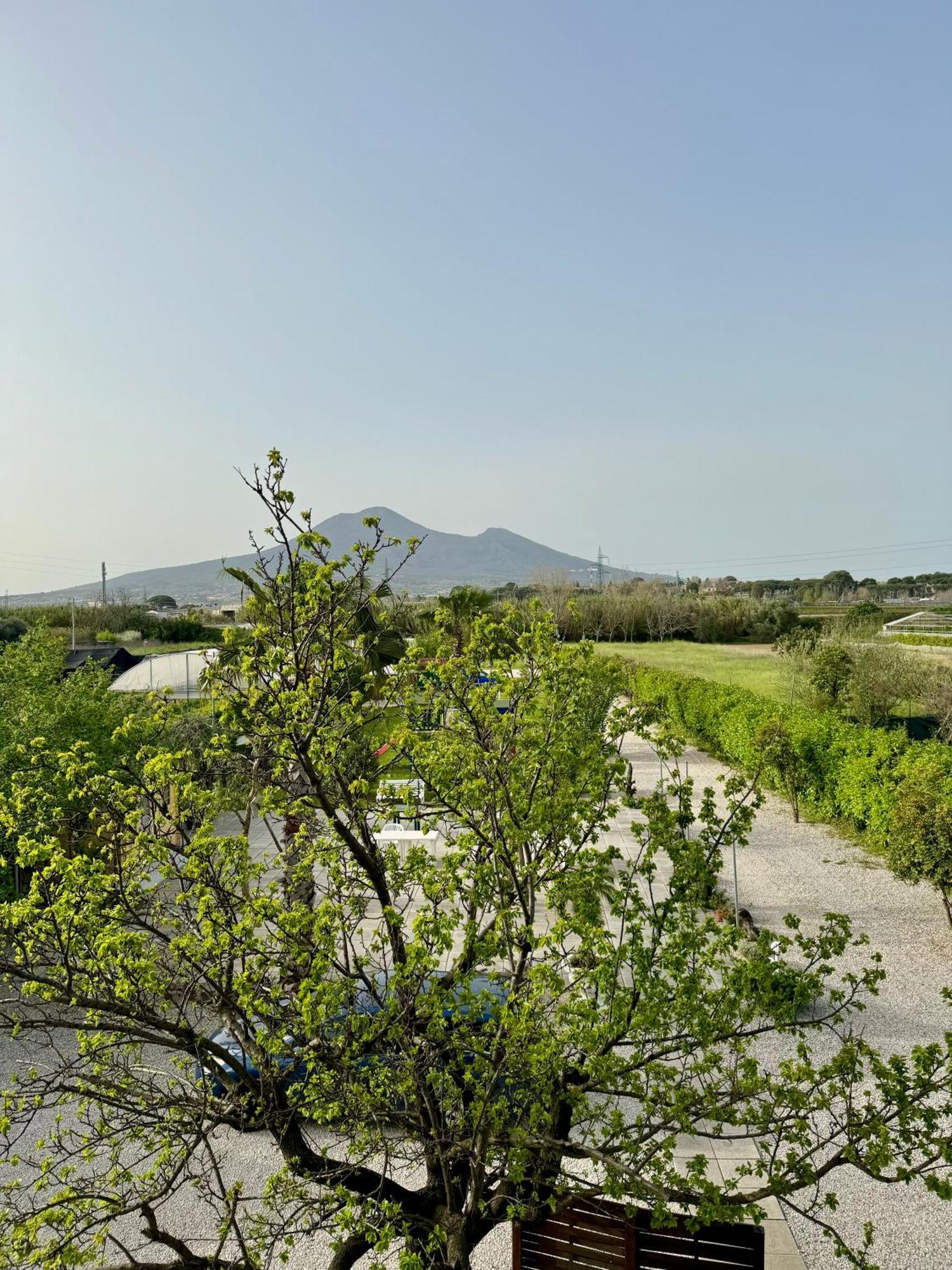 Villa Valentino Pompeji エクステリア 写真