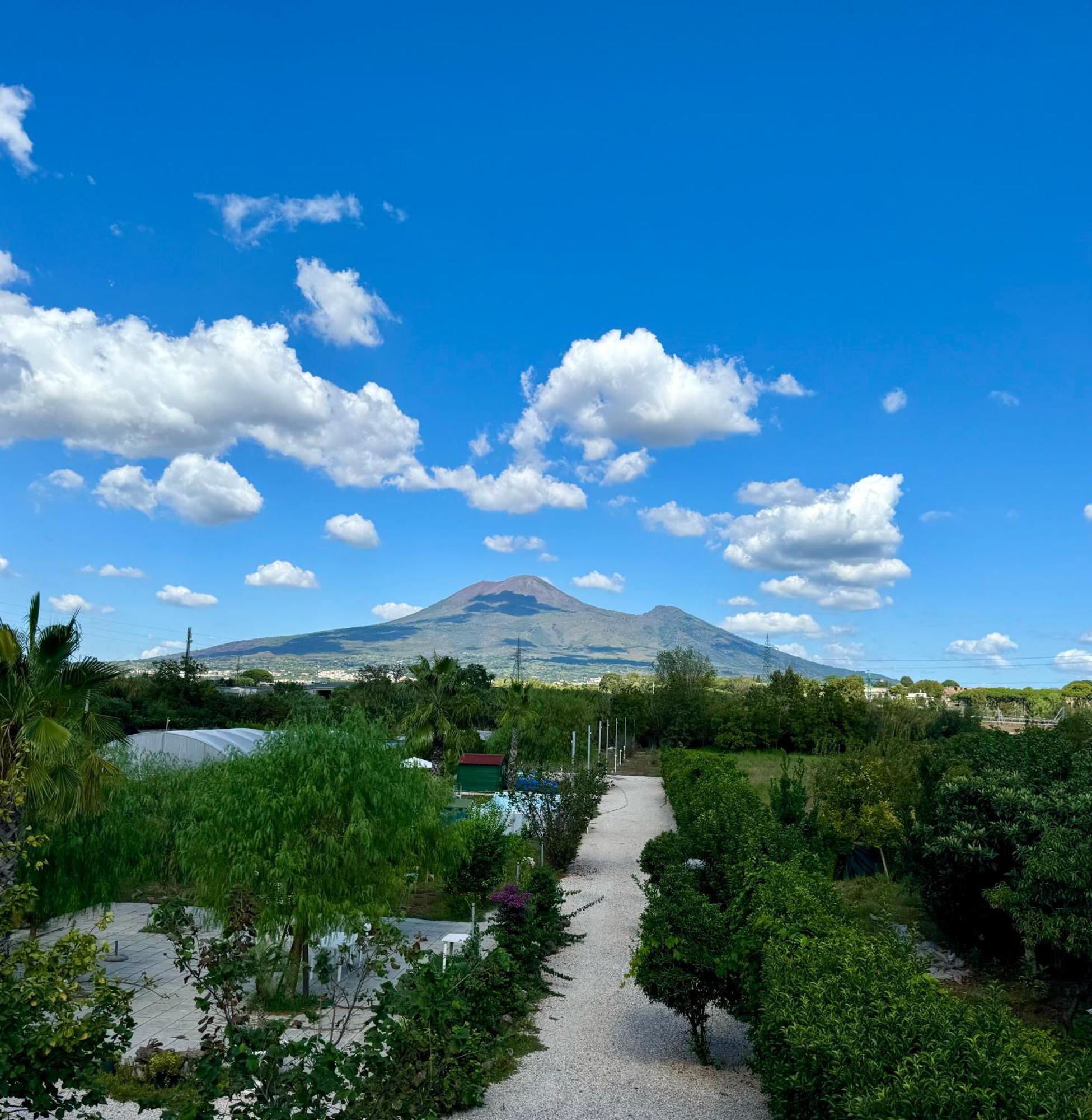 Villa Valentino Pompeji エクステリア 写真